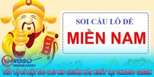 soi-cau-mn-vnxosogreen