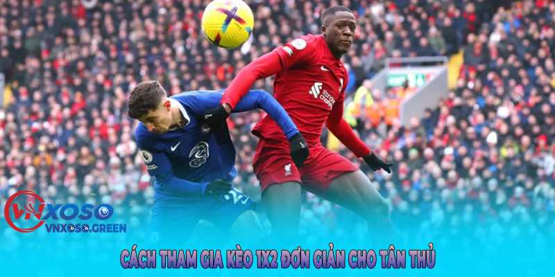 Cách Tham Gia Kèo 1x2 Đơn Giản Cho Tân Thủ