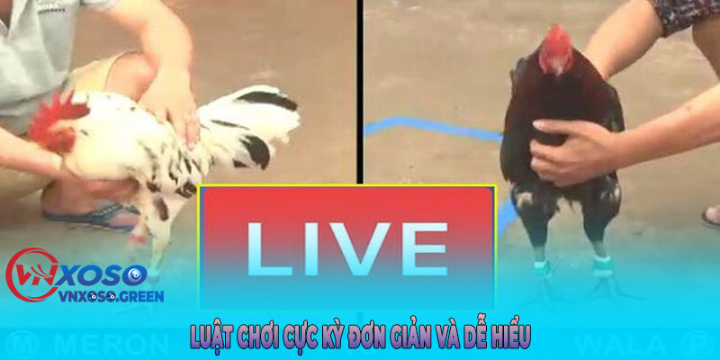 Luật chơi cực kỳ đơn giản và dễ hiểu