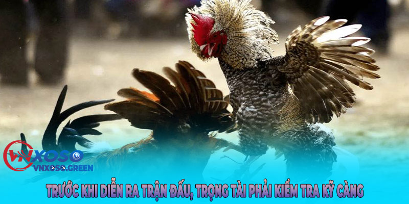 Trước khi diễn ra trận đấu, trọng tài phải kiểm tra kỹ càng