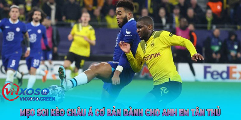 Mẹo soi kèo Châu Á cơ bản dành cho anh em tân thủ
