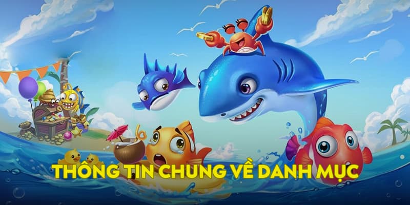 Thông tin chung về danh mục