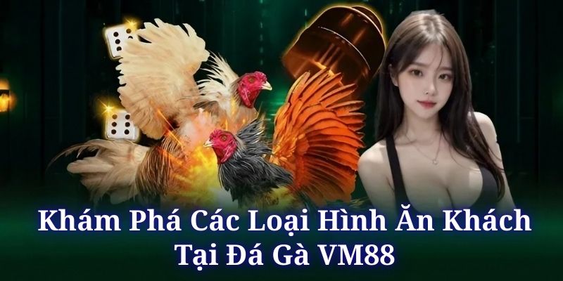 Đá gà VM88 quy tụ nhiều thể loại siêu gây cấn