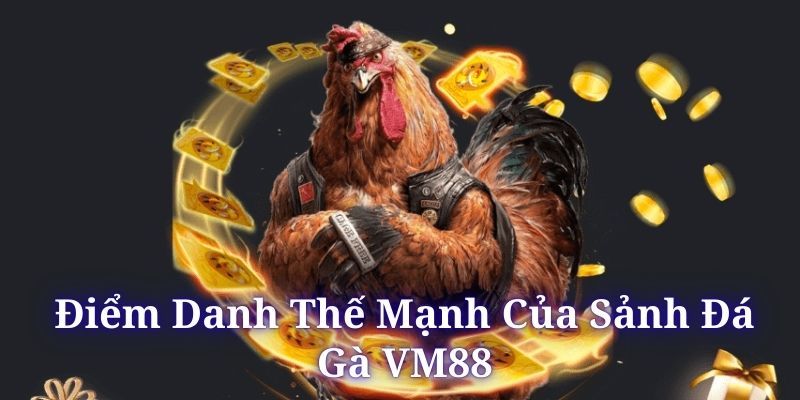 Đá gà VM88 luôn công bố mức thưởng rõ ràng